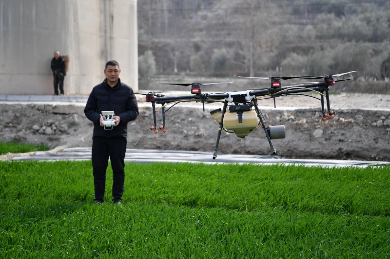 2024年3月9日,甘肃省陇南市武都区汉王镇农业技术推广站技术人员杨亮亮操作植保无人机给冬小麦施肥。 新华社记者 陈斌 摄